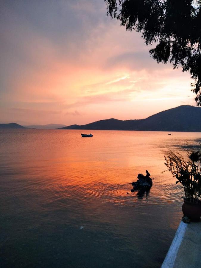 Vitamin Sea Studio Panagia  Buitenkant foto