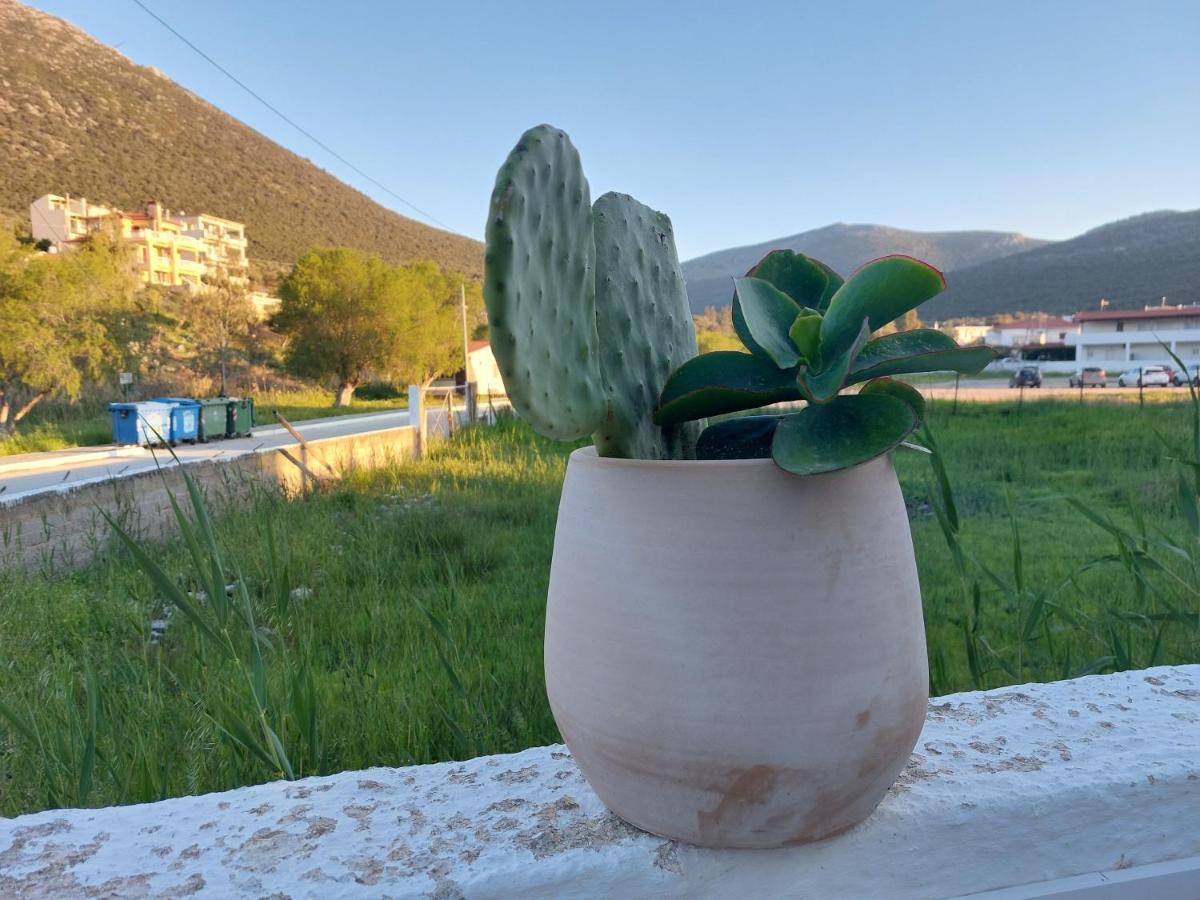 Vitamin Sea Studio Panagia  Buitenkant foto